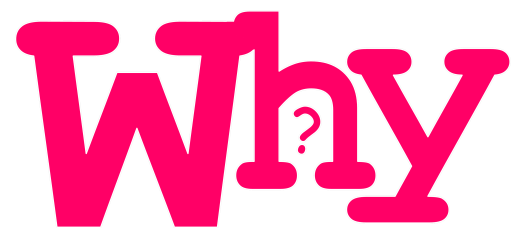 Why Logo White copy